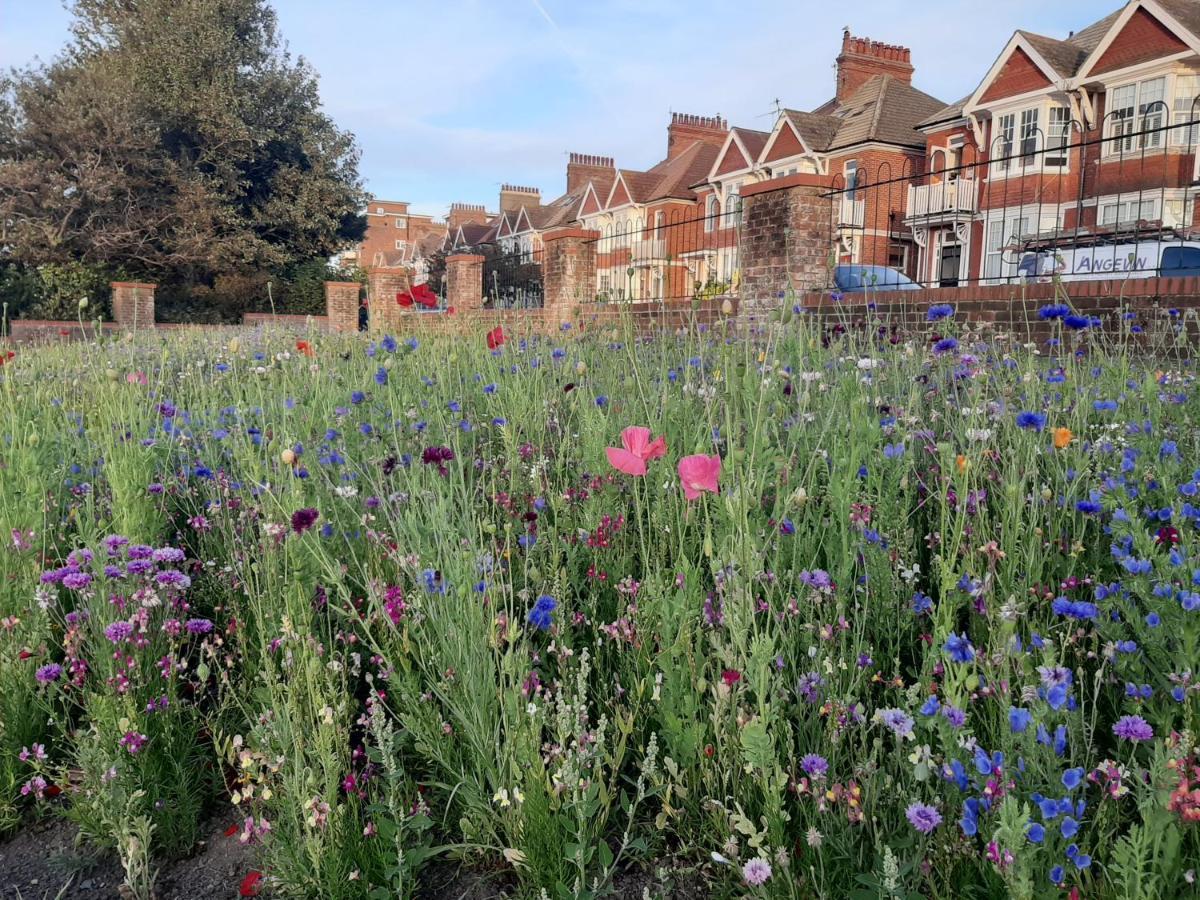 Coastal Chic Bed & Breakfast Bexhill-on-Sea Exterior foto
